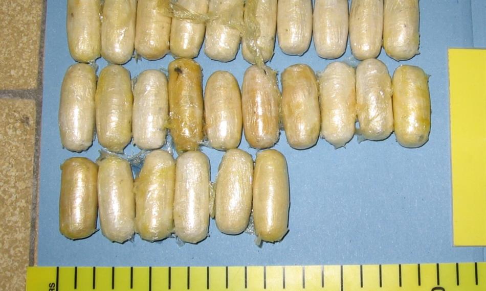 2010-11-17-165IMG_3637 o.jpg